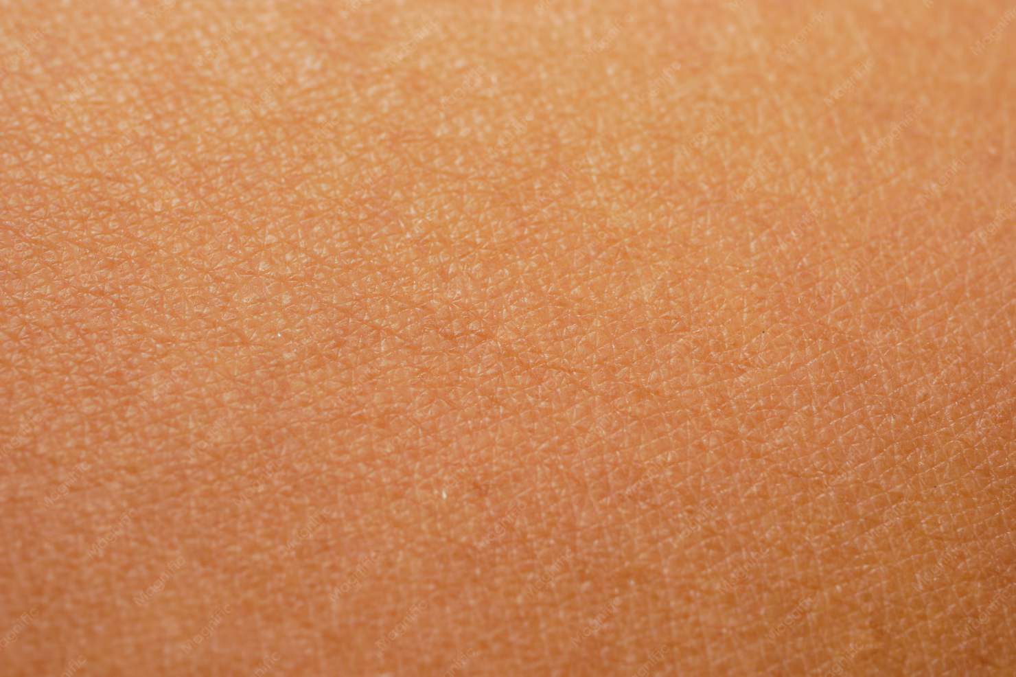Textura de pele
